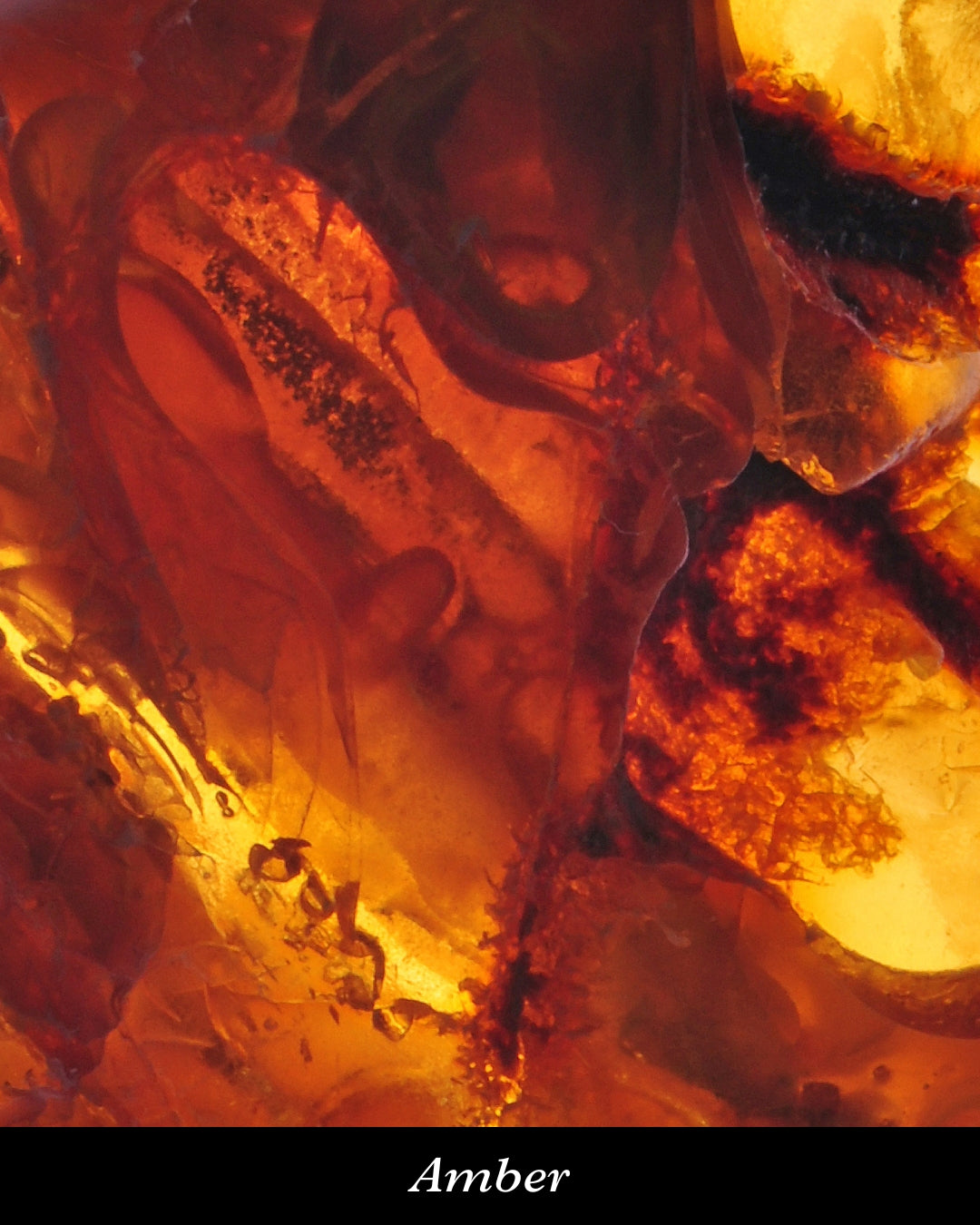 Irresistible White ヘアパフューム 15ml