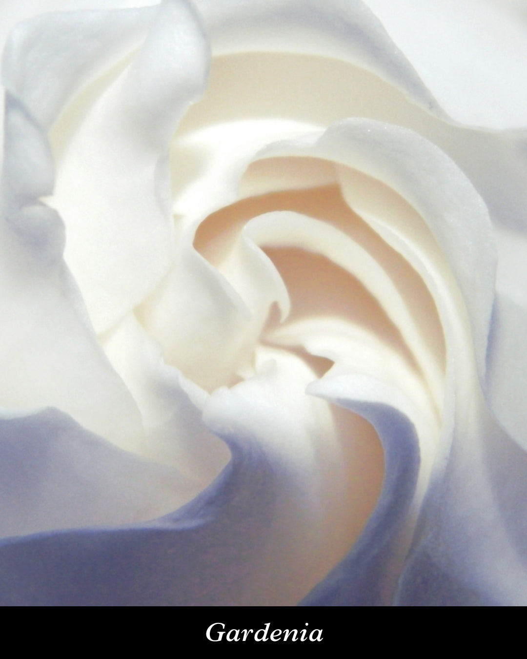 Irresistible White ヘアパフューム 15ml