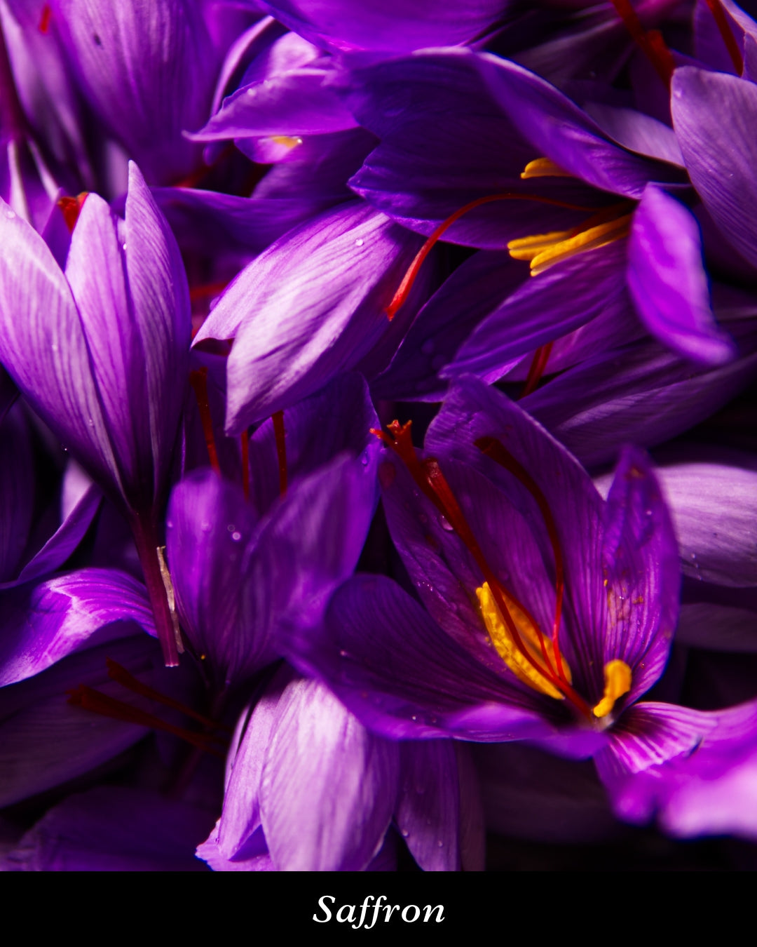 Irresistible White(イレジスティブルホワイト) ヘアパフューム 15ml